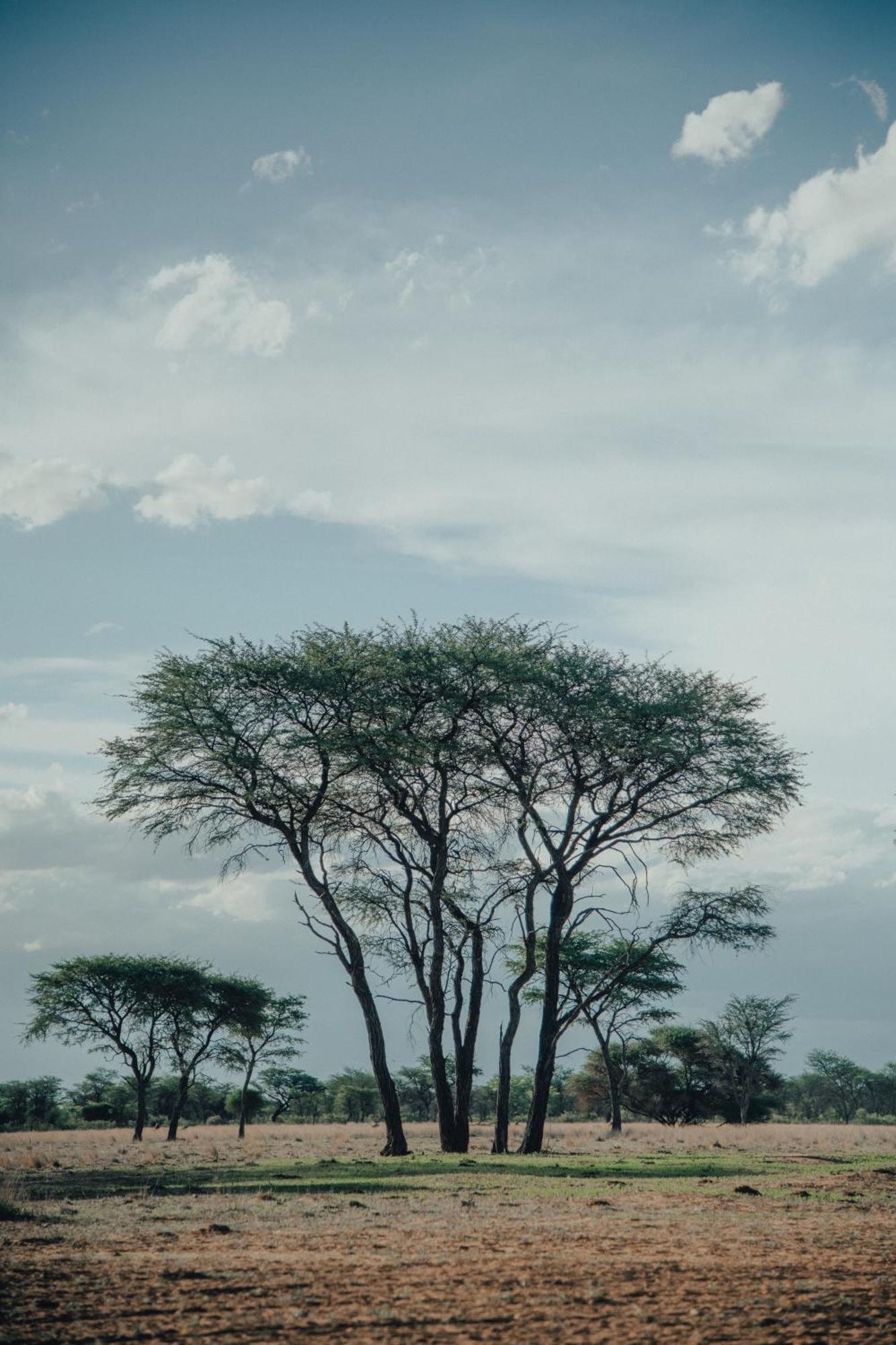 Africa Awaits Lodge & Safaris Gobabis Exteriör bild